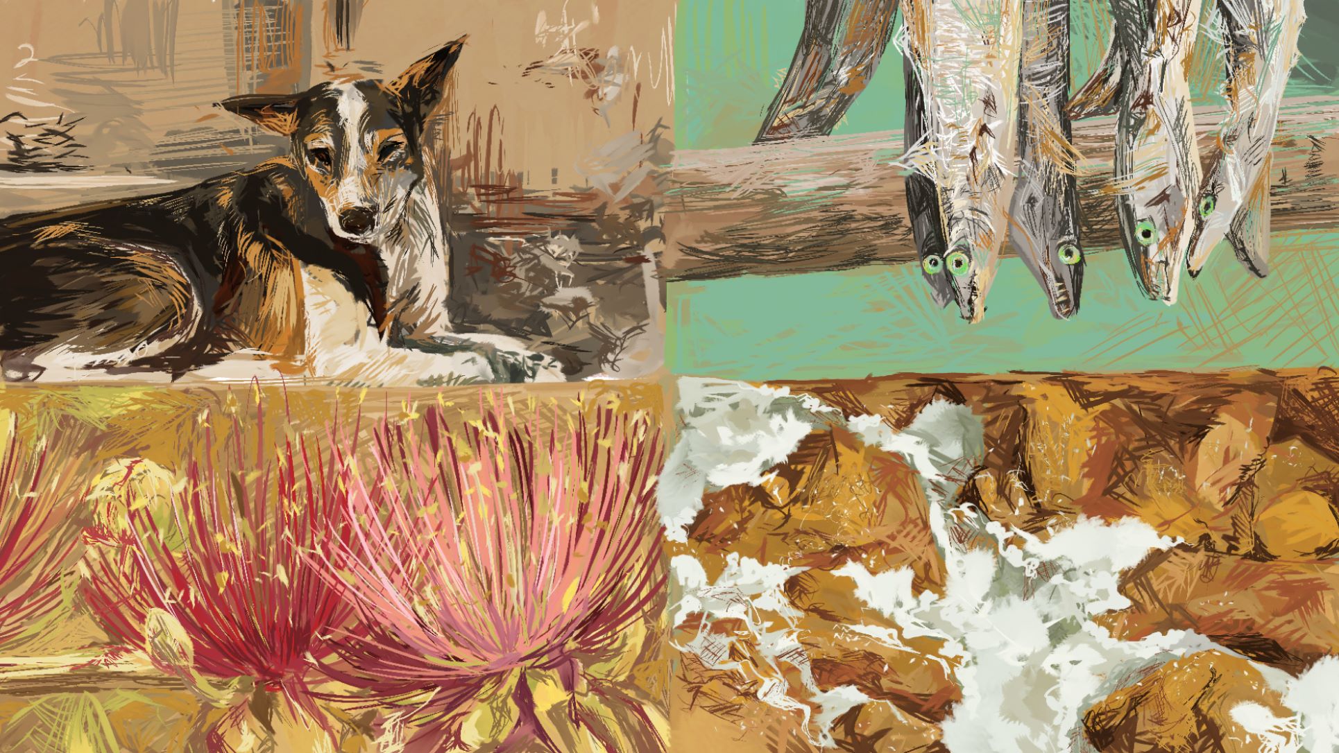 Photo study - Uttan, India