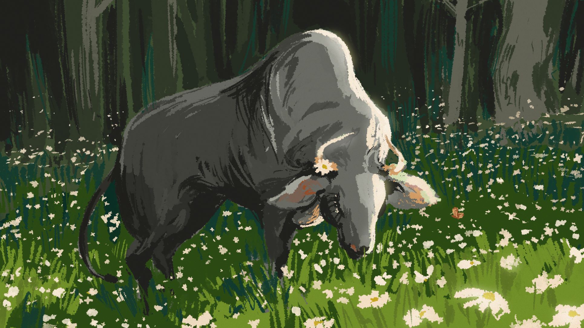 Light and Color Study - Forest Series